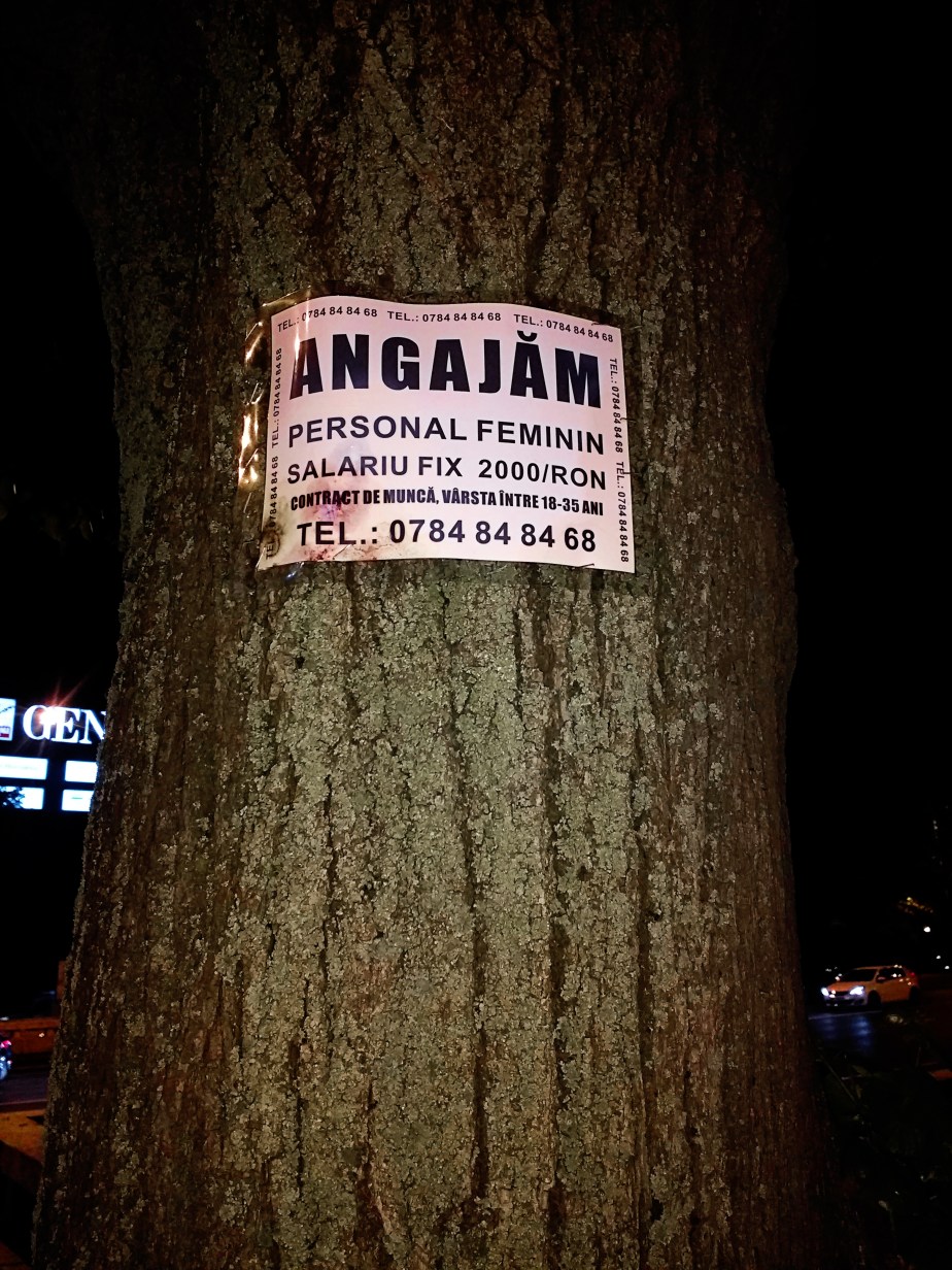 IMG_20170425_223206418 pre