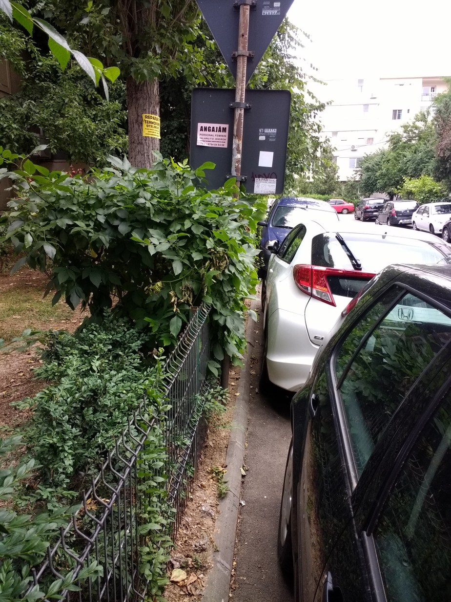 IMG_20170610_140502278